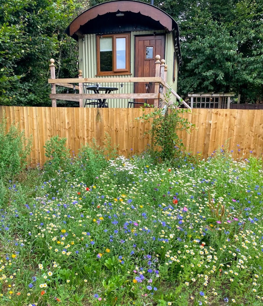 bobs-phone-willow-july-26-standard-pxr1on.jpg