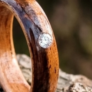 bague en bois acajou et ébène et zircon