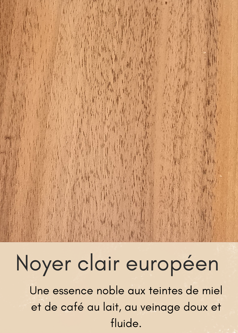 un-bois-clair-aux-nombreuses-mouchetures-10-standard.png