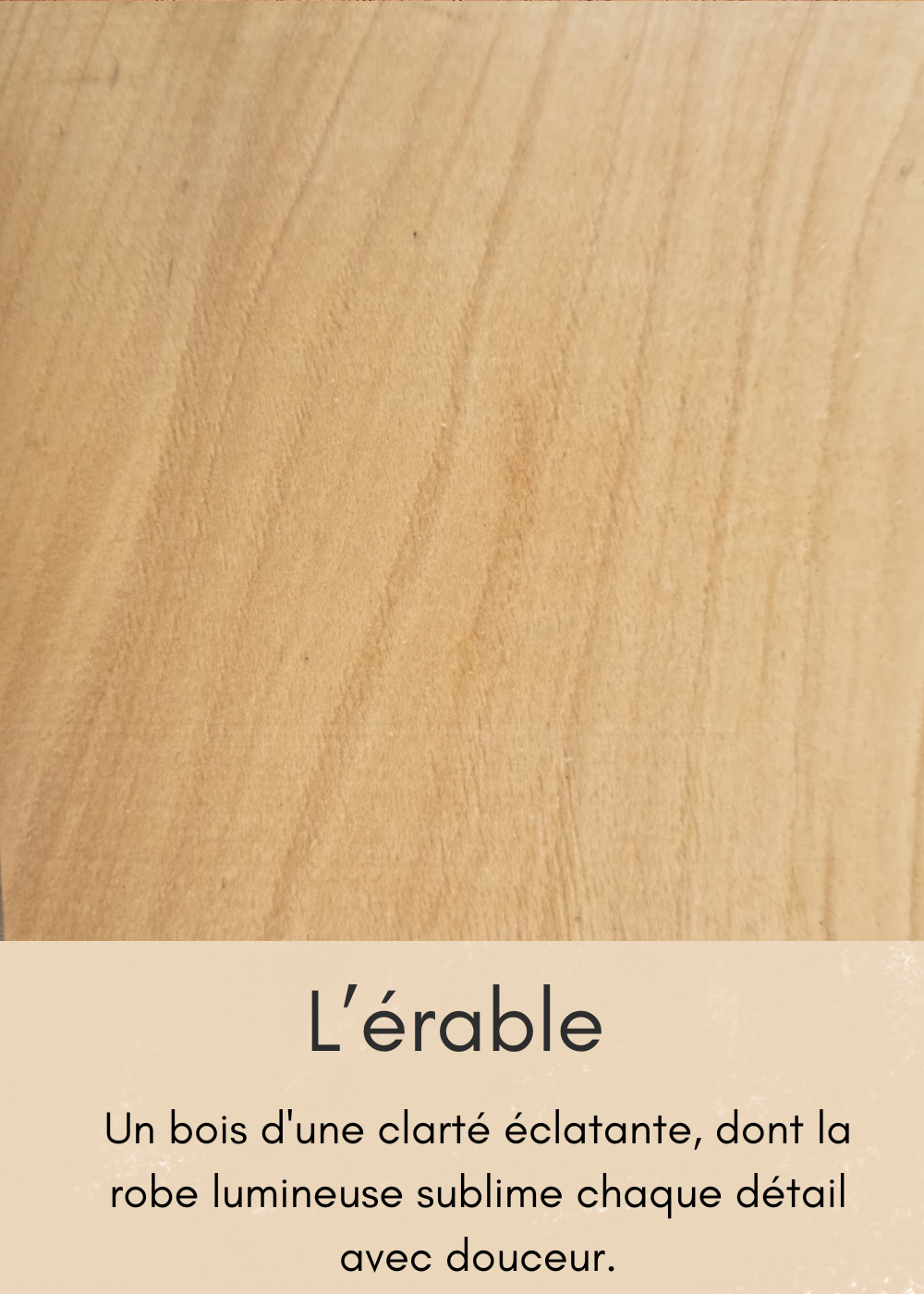 un-bois-clair-aux-nombreuses-mouchetures-11-standard.png