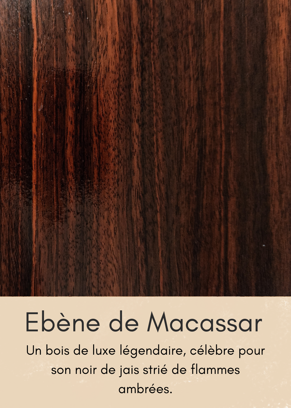 un-bois-clair-aux-nombreuses-mouchetures-14-standard.png