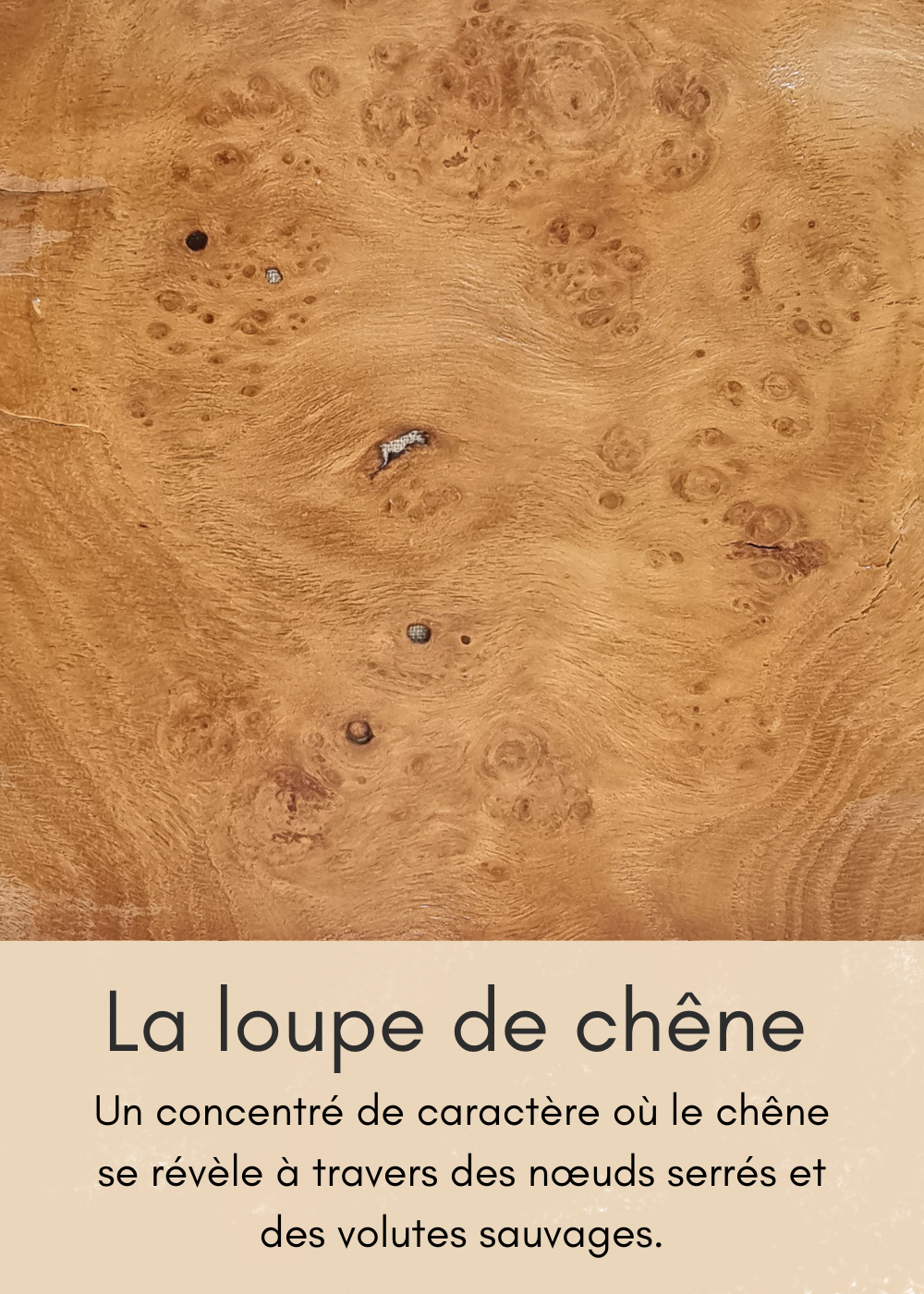 un-bois-clair-aux-nombreuses-mouchetures-15-standard.png