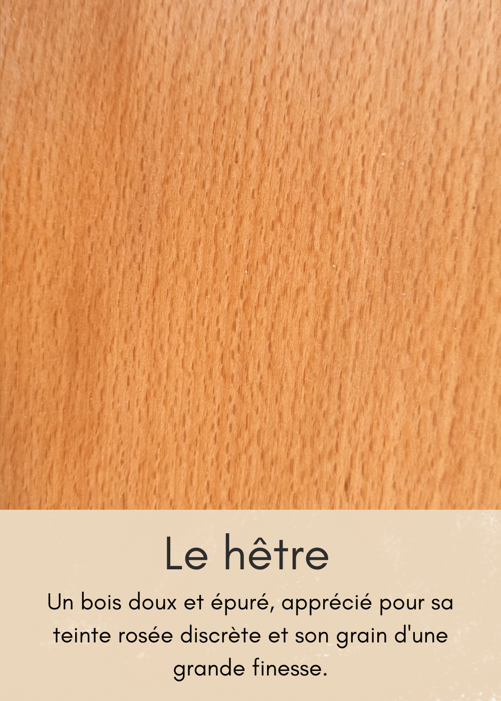 un-bois-clair-aux-nombreuses-mouchetures-16-standard.png