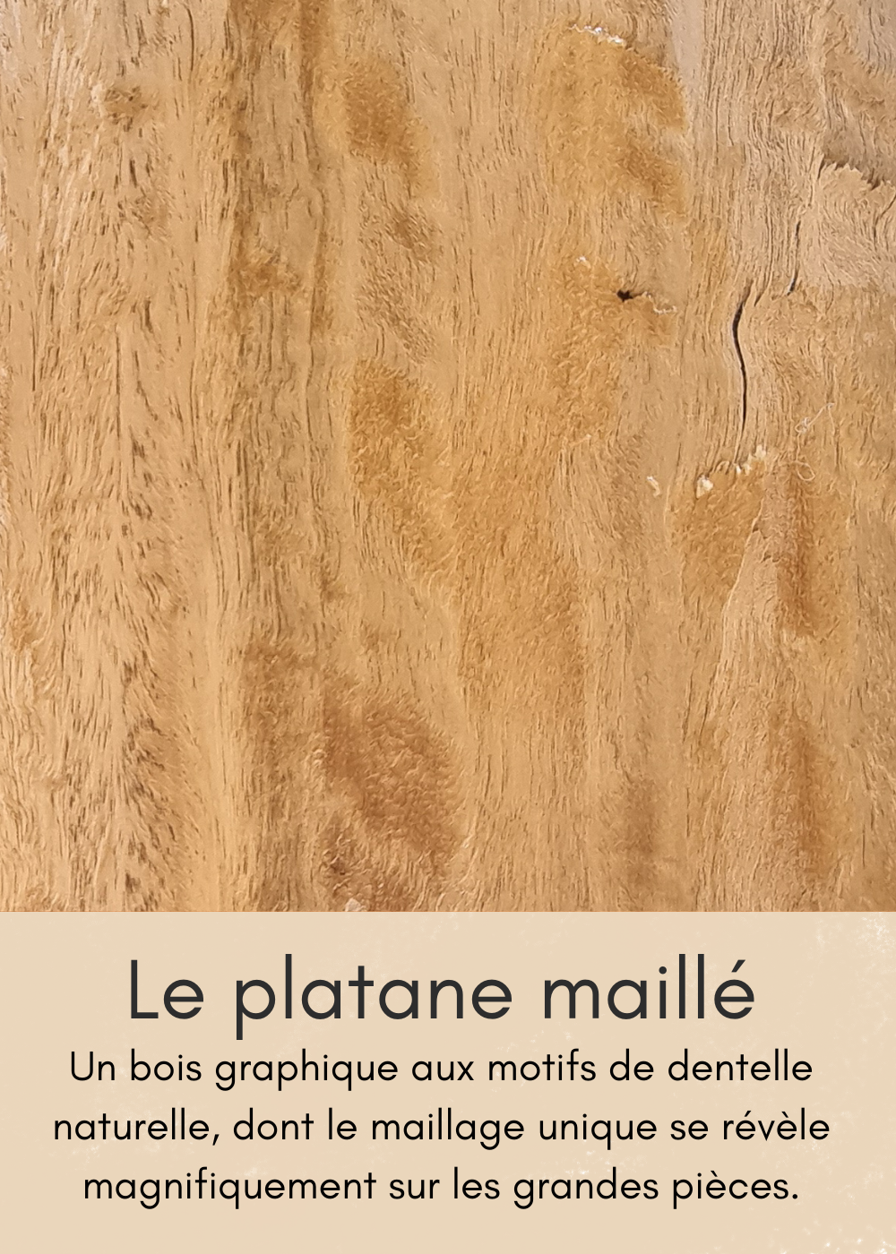 un-bois-clair-aux-nombreuses-mouchetures-18-standard.png