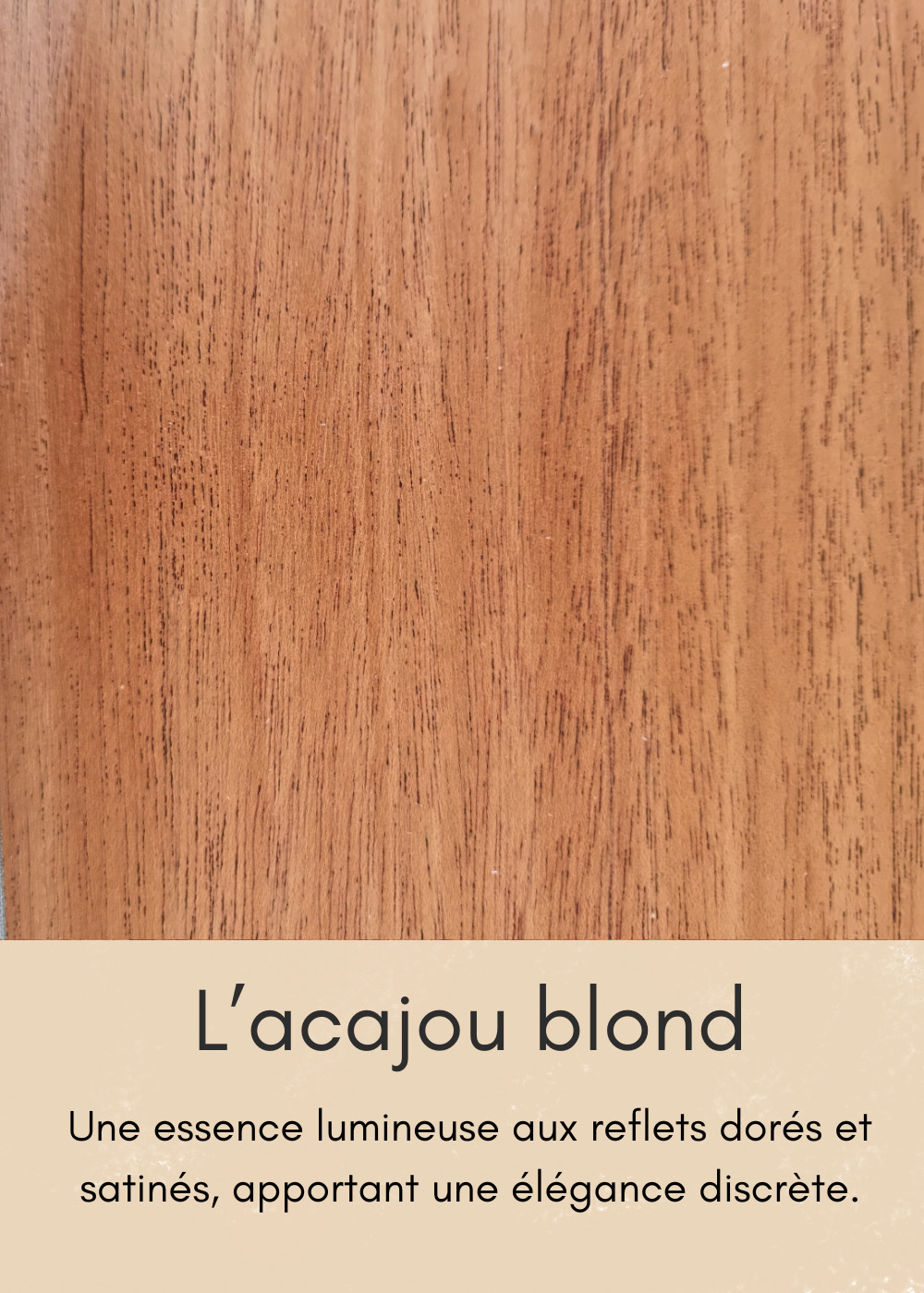 un-bois-clair-aux-nombreuses-mouchetures-22-standard.png