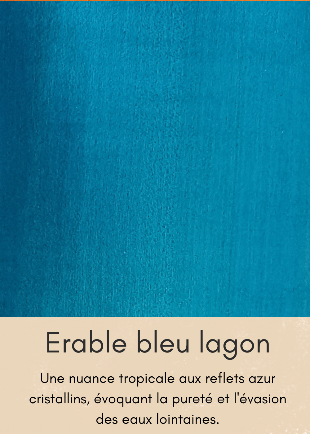 un-bois-clair-aux-nombreuses-mouchetures-26-standard-qvuukv.png