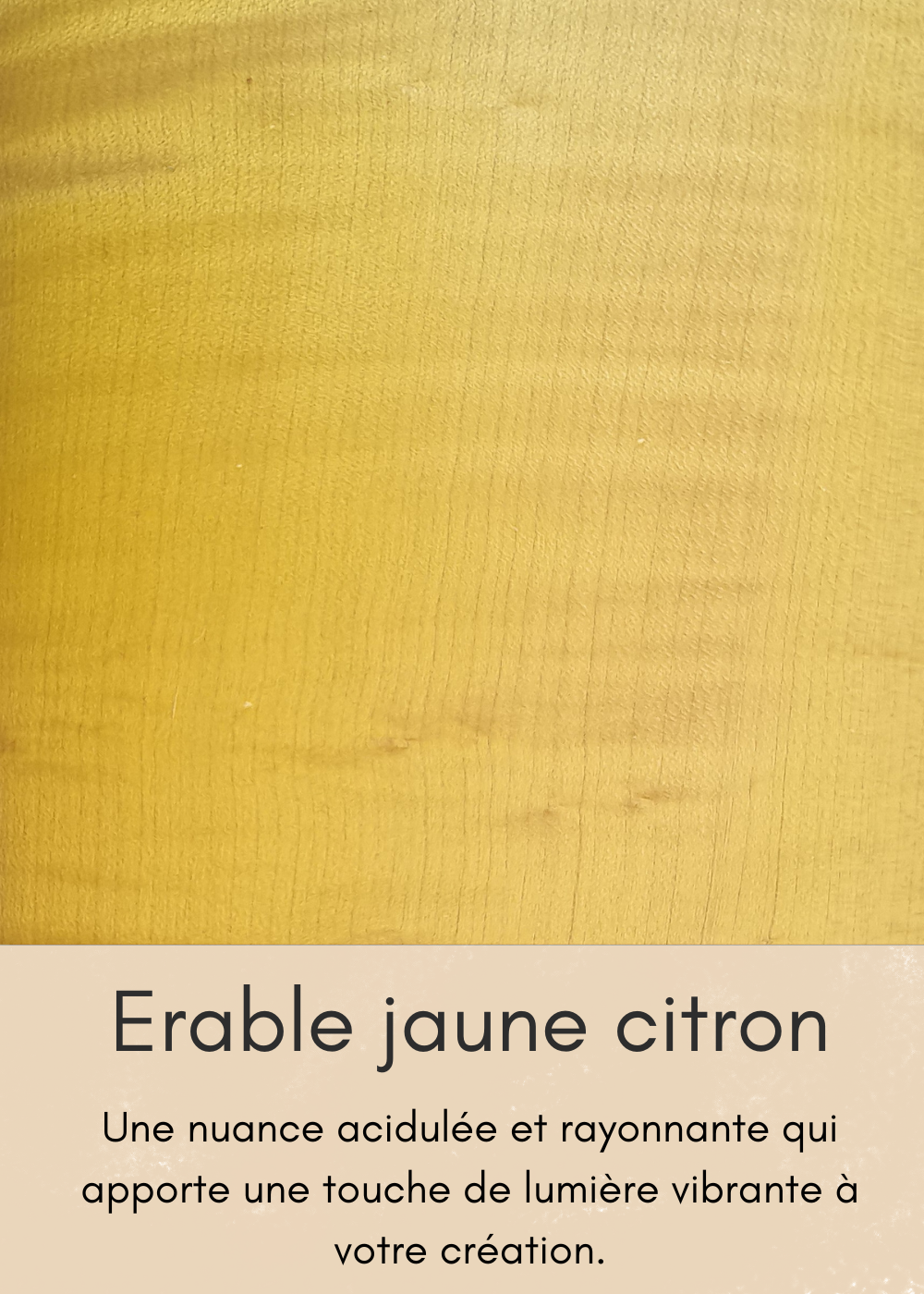 un-bois-clair-aux-nombreuses-mouchetures-29-standard.png