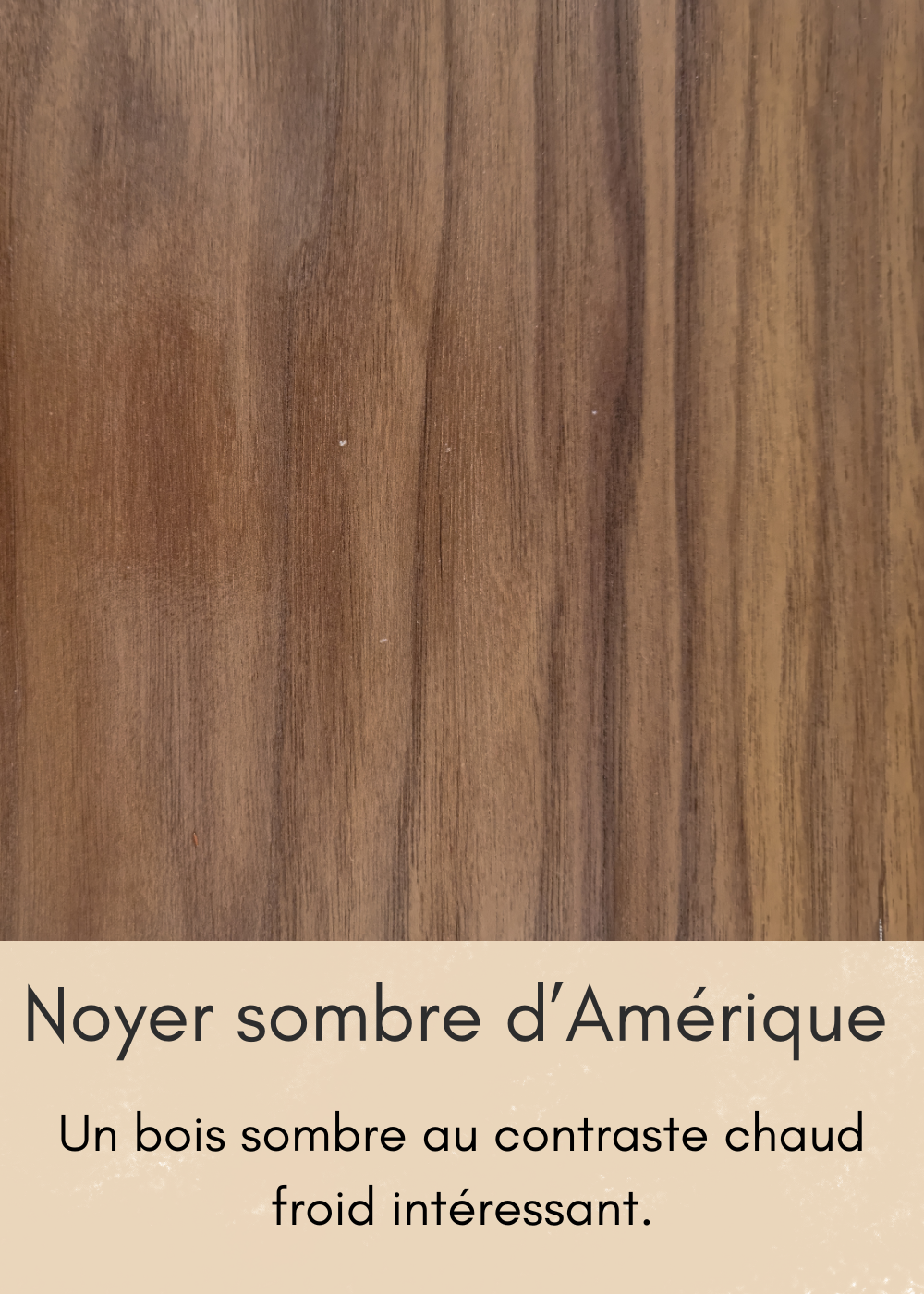 un-bois-clair-aux-nombreuses-mouchetures-3-standard.png