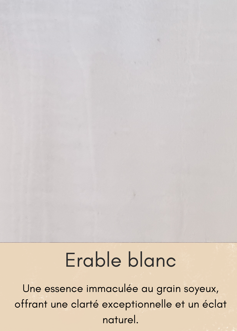 un-bois-clair-aux-nombreuses-mouchetures-35-standard.png