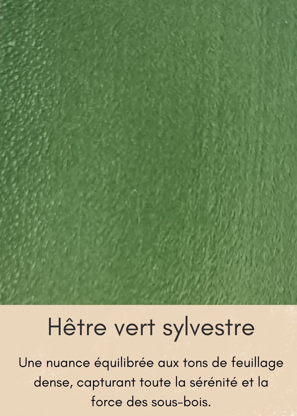 un-bois-clair-aux-nombreuses-mouchetures-36-standard-oi3hww.png