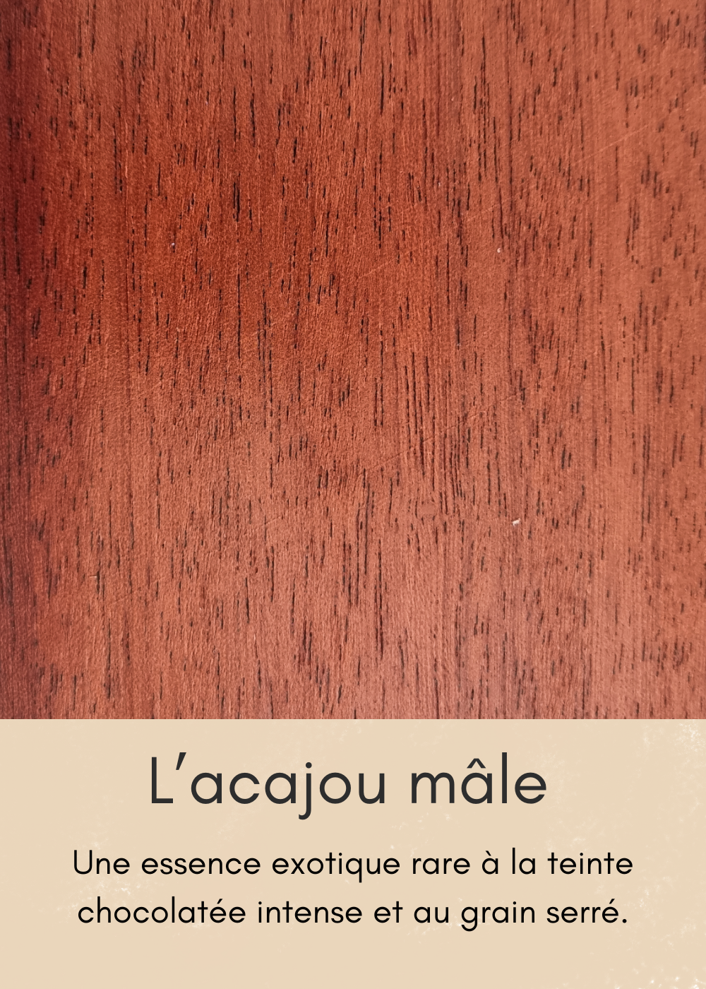 un-bois-clair-aux-nombreuses-mouchetures-6-standard.png