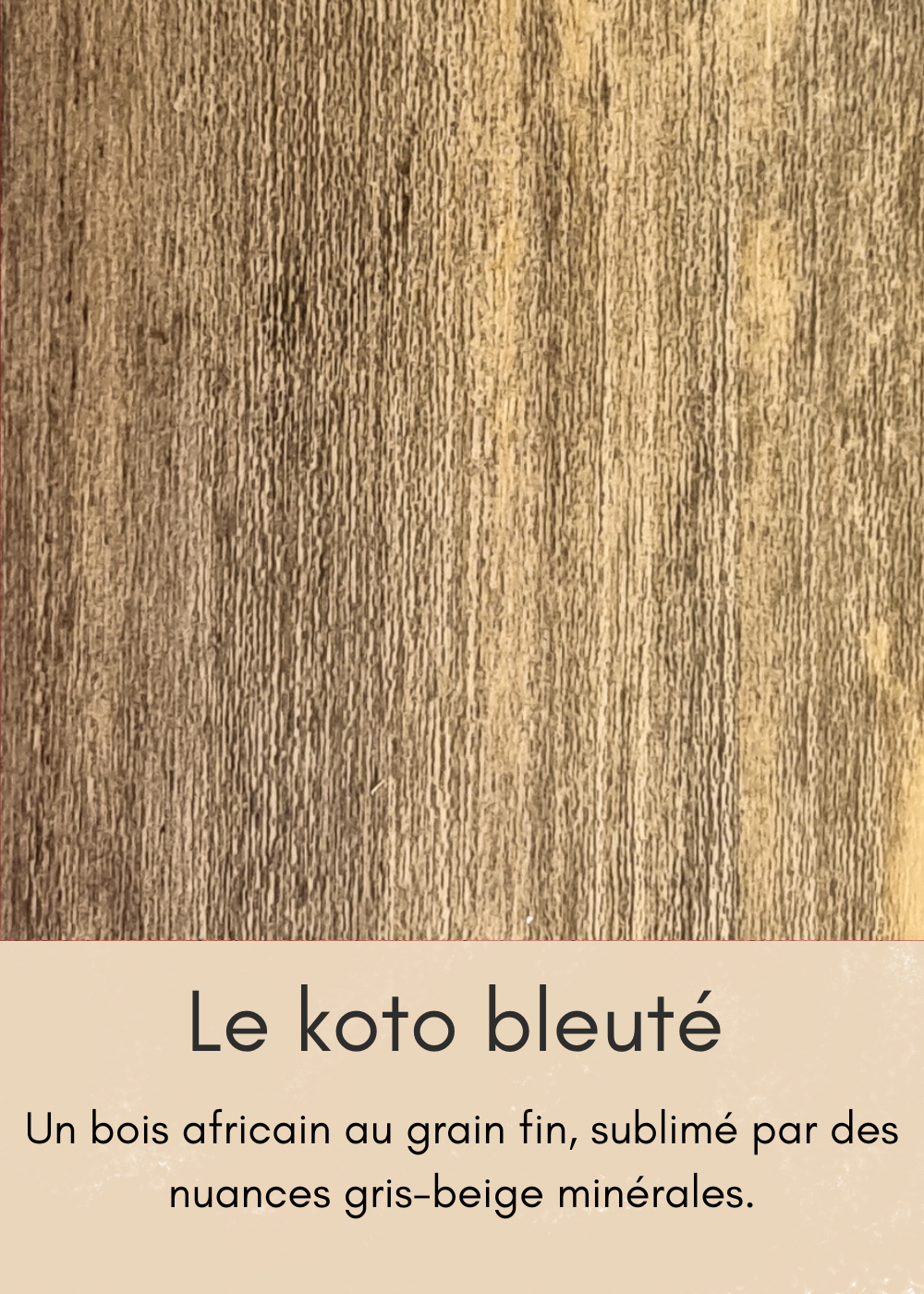 un-bois-clair-aux-nombreuses-mouchetures-7-standard.png