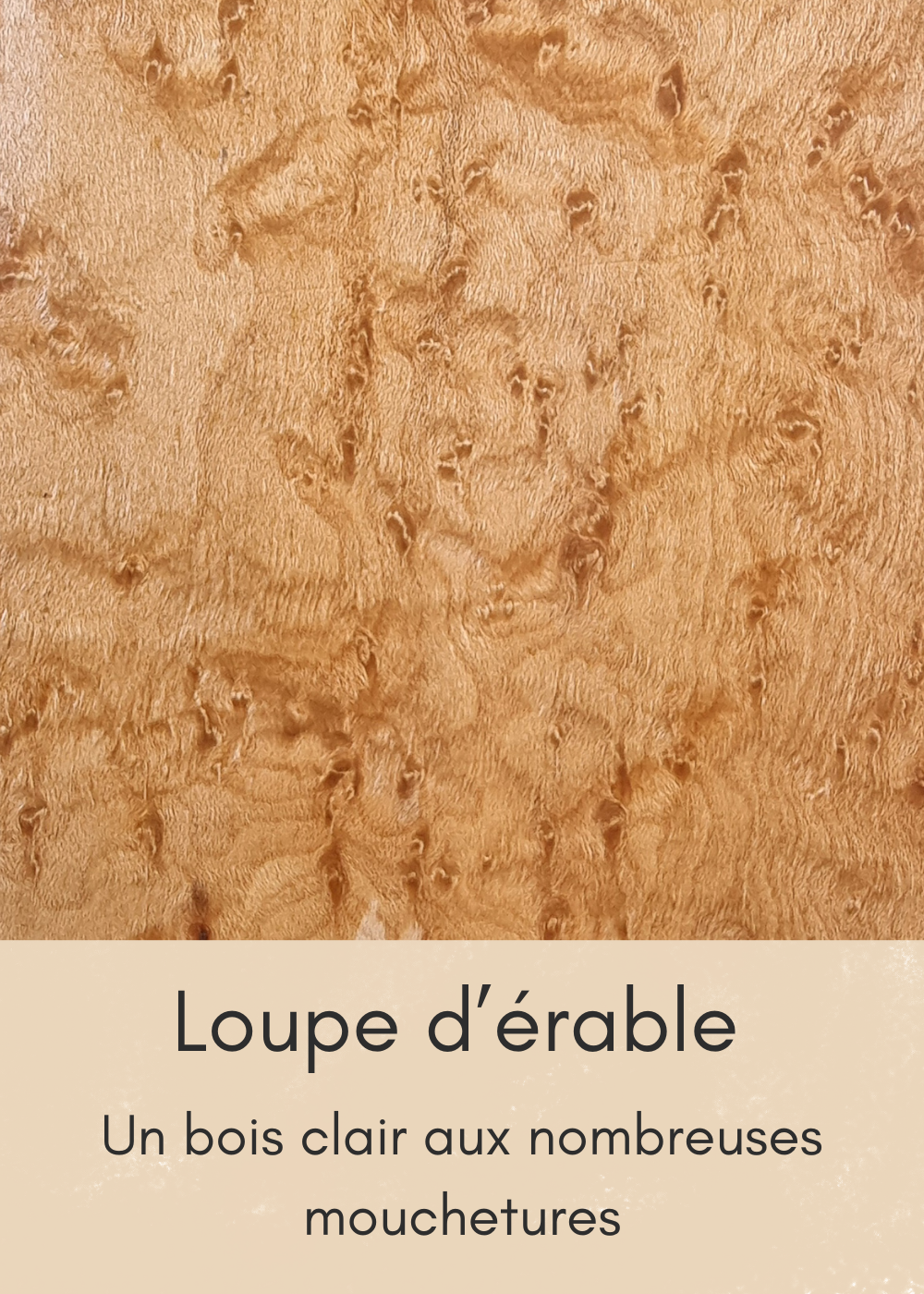 un-bois-clair-aux-nombreuses-mouchetures-standard.png