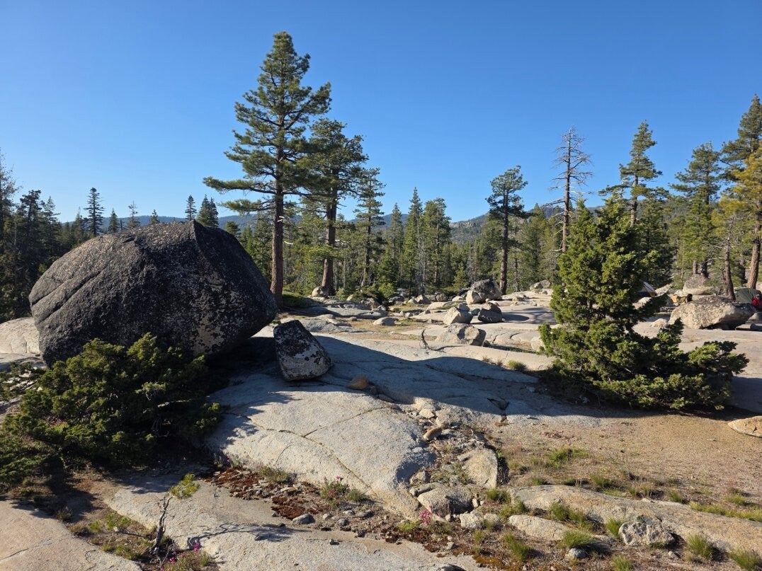 Sierra granite and pines along the trail