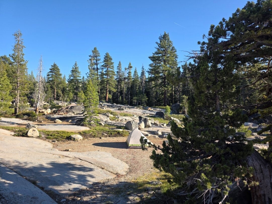 Trail camp among the pines