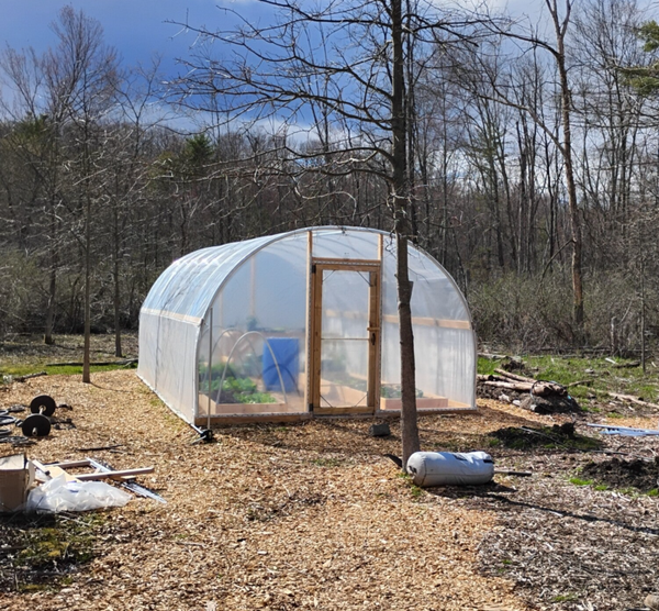 24' x 12'  Green Tunnel