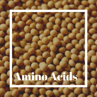 Amino Acids-Taschemind-Product_list-Wholesale