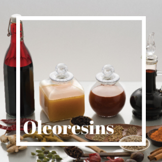 Oleoresins-Spices-Powders-Flavours-Taschemind-Product_list-Wholesale