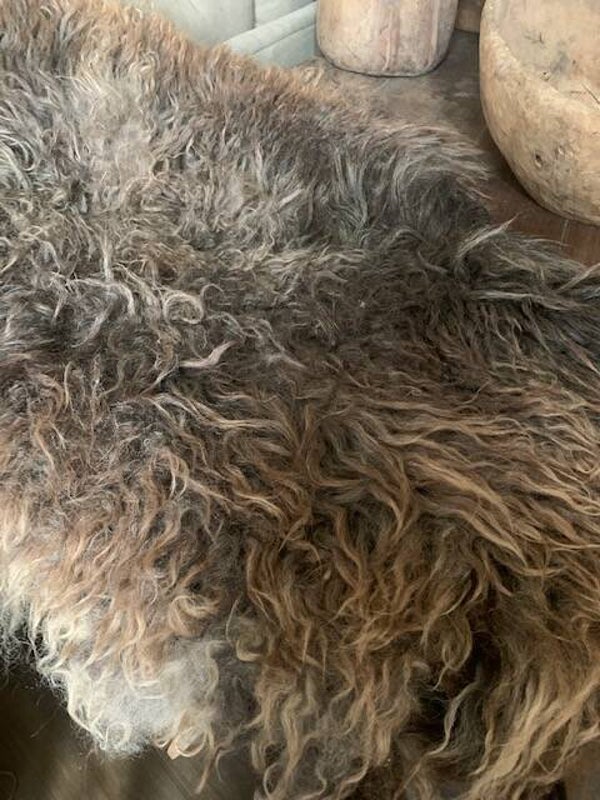 Diervriendelijke vacht van  Schoonebeeker Bergschaap