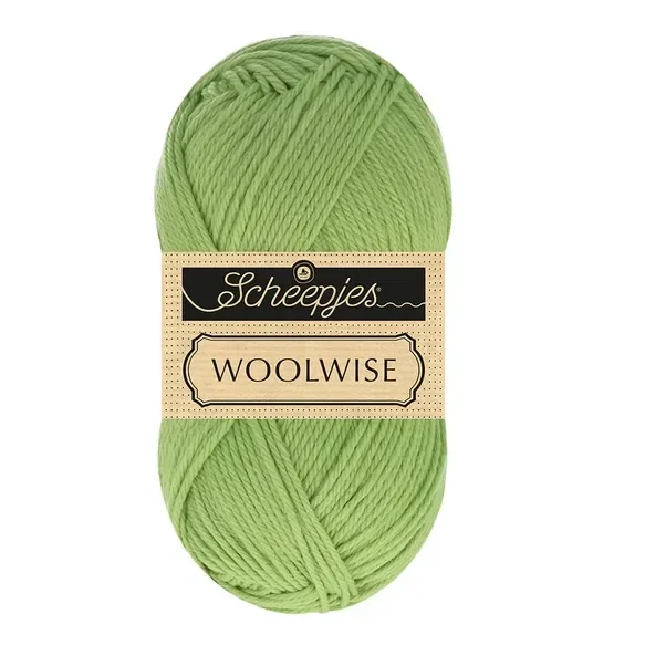 Scheepjes Woolwise 1x100g - 755 Pine Needle