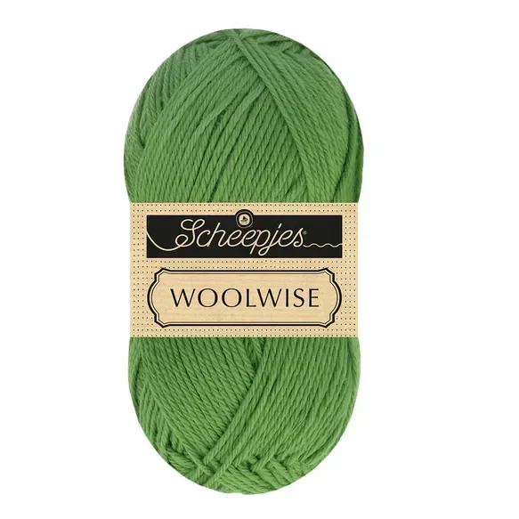Scheepjes Woolwise 1x100g - 756 Agave Green