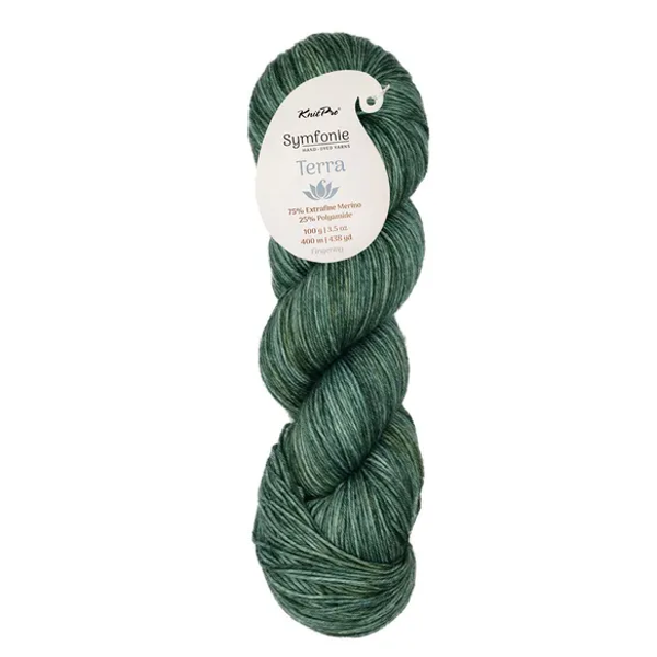Symfonie Terra Variegated 1x100g - VR2091 Willow
