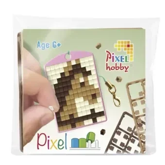 Medaillon startset - paard