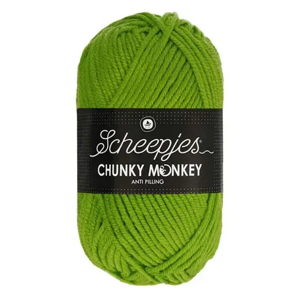 Scheepjes Chunky Monkey 100g - 2016 Fern