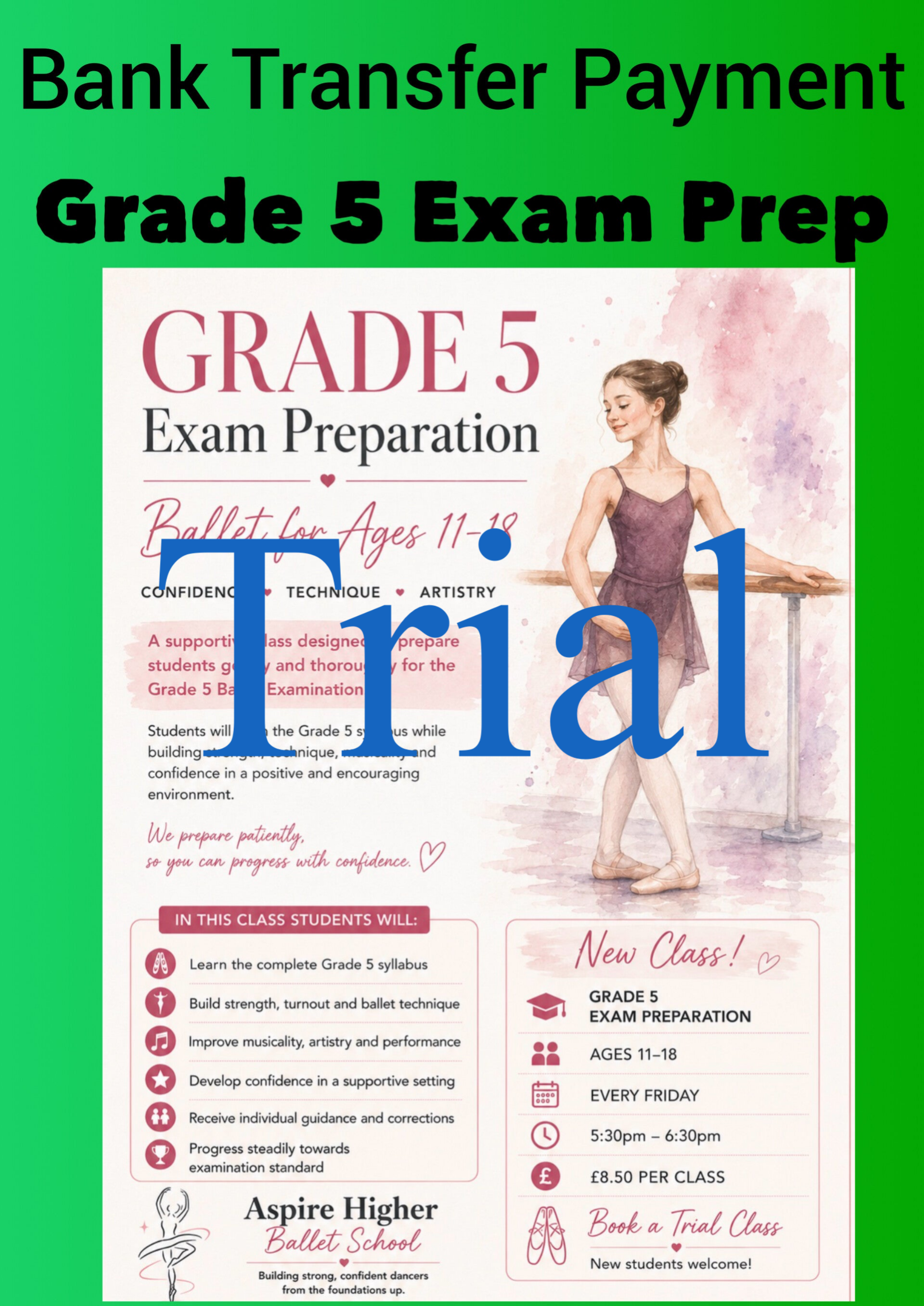 Bank Transfer 1 week trial grade 5 Exam prep