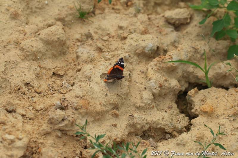 Nederweert, NL, 2017