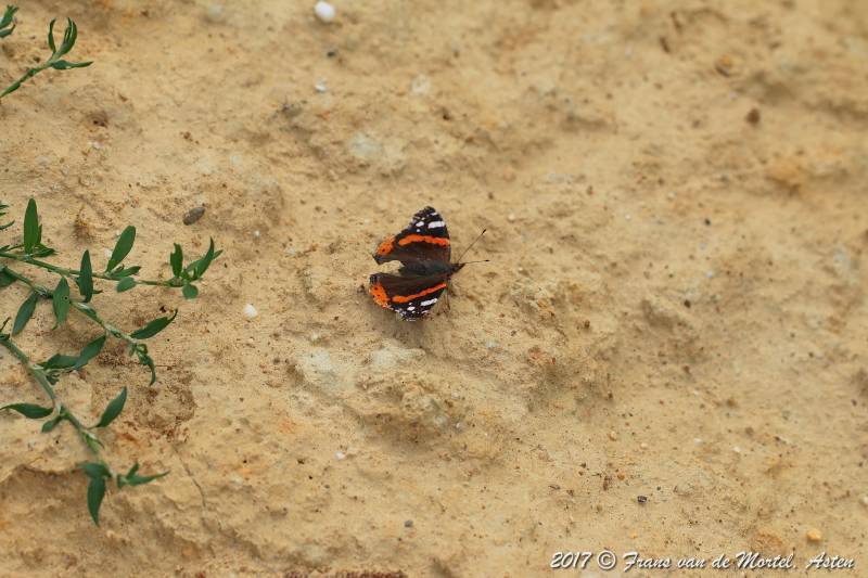 Nederweert, NL, 2017