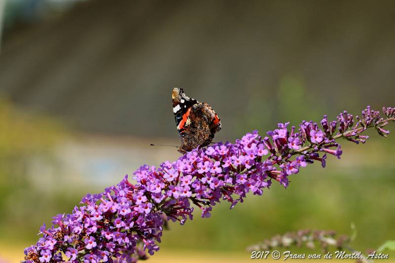 Maastricht, NL, 2017