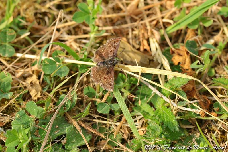 Maastricht, NL, 2018