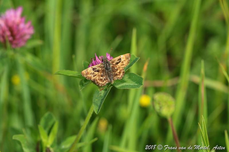 Maastricht, NL, 2018