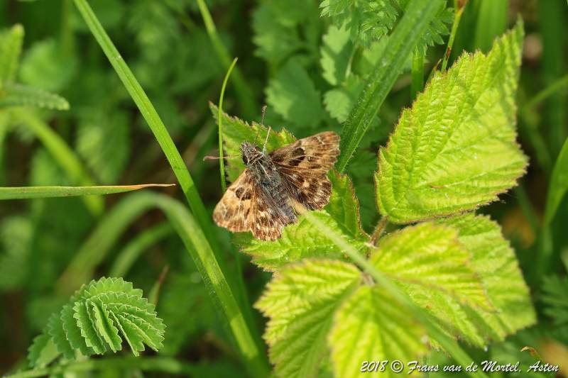 Maastricht, NL, 2018
