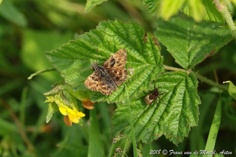 Maastricht, NL, 2018