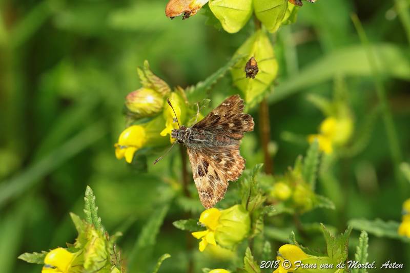 Maastricht, NL, 2018
