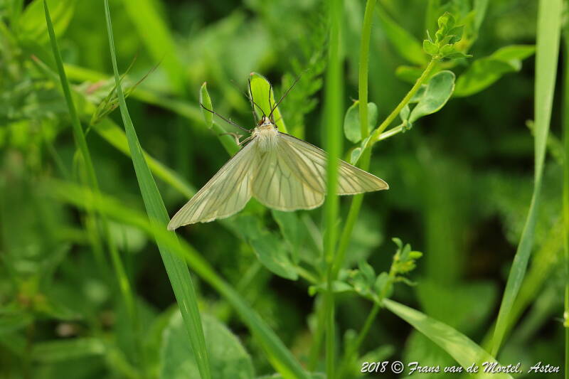 Maastricht, NL, 2018