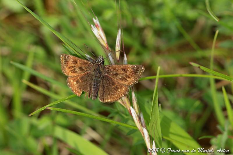 Maastricht, NL, 2018