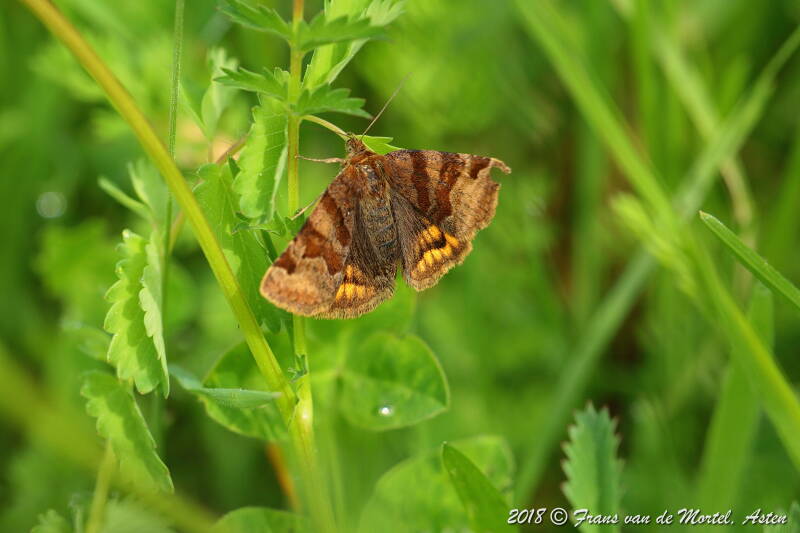 Maastricht, NL, 2018