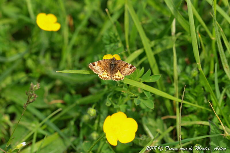 Maastricht, NL, 2018