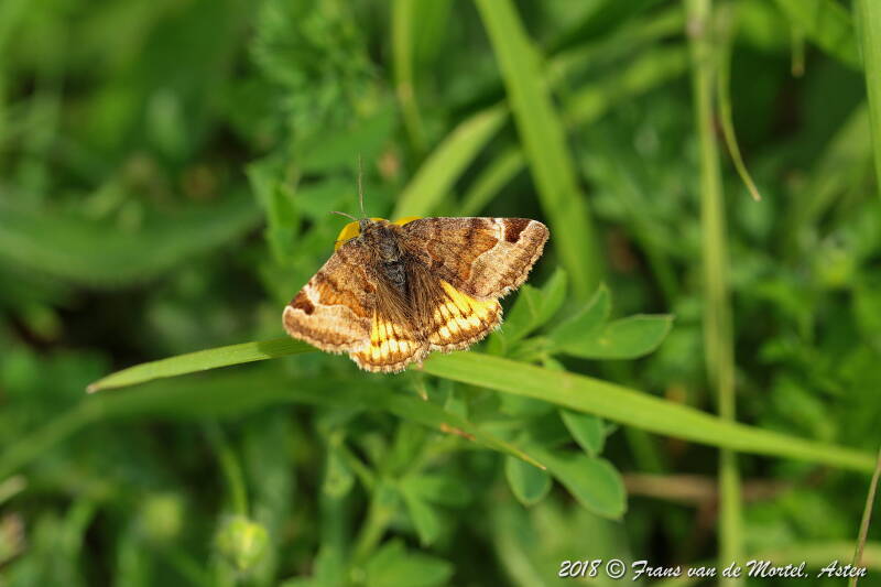 Maastricht, NL, 2018
