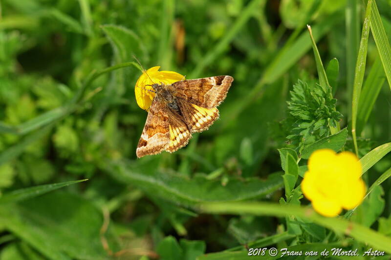 Maastricht, NL, 2018