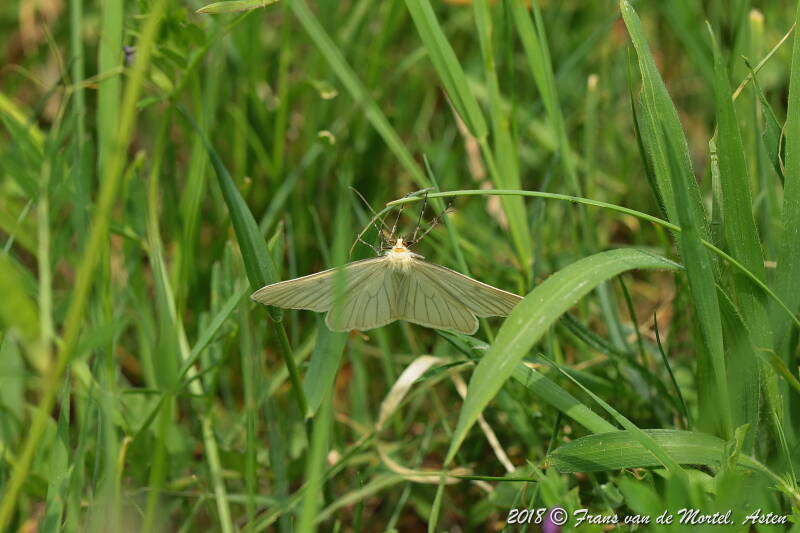  Maastricht, NL, 2018