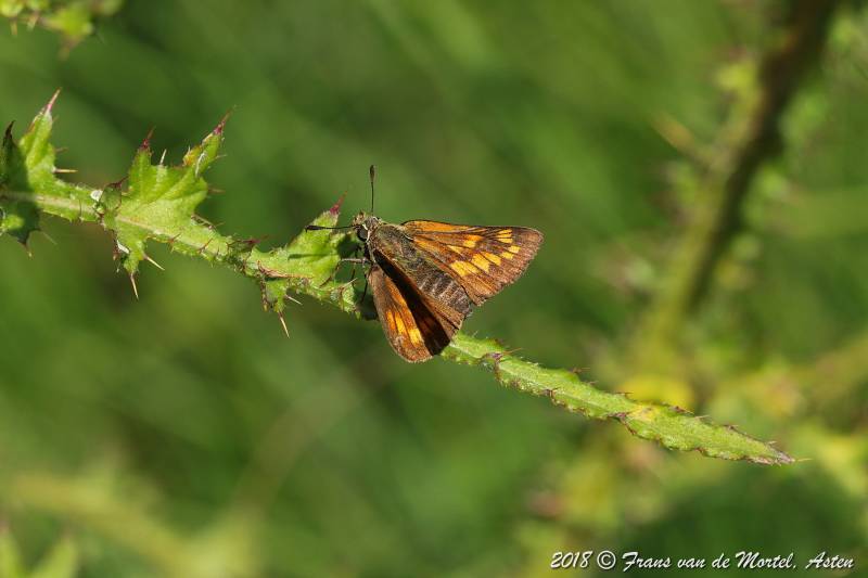 Nederweert, NL, 2018