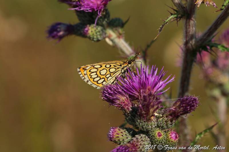 Nederweert, NL, 2018