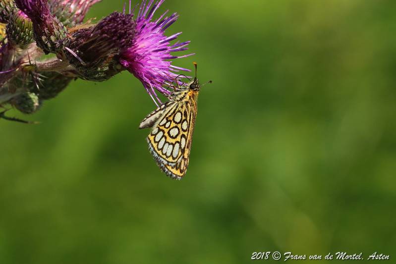Nederweert, NL, 2018