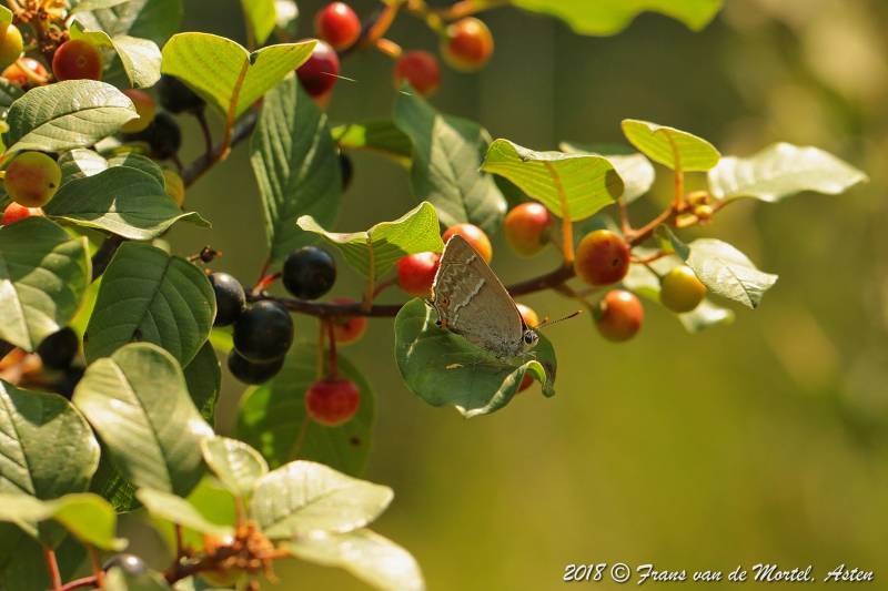 Nederweert, NL, 2018