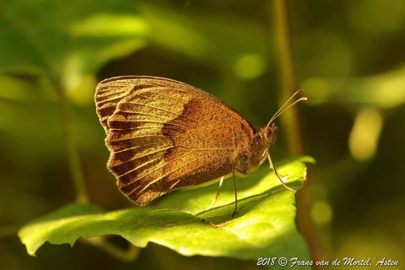 Maastricht, NL, 2018