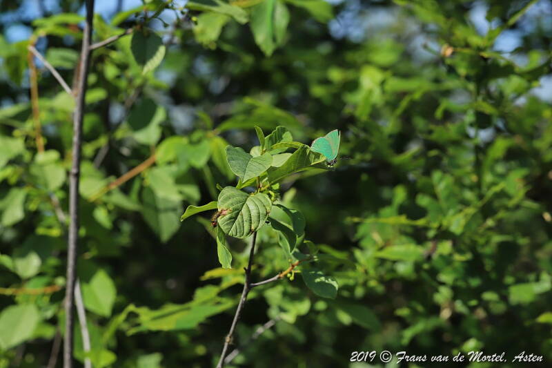 Nederweert, NL, 2019